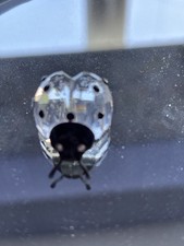 4 Retired Swarovski Crystal