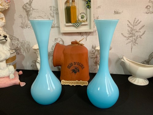 Pair sky blue cased - blue, bud