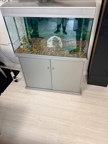 Glass rectangular fish tank - glass,