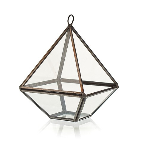 Glass terrarium terrariums - terrarium,