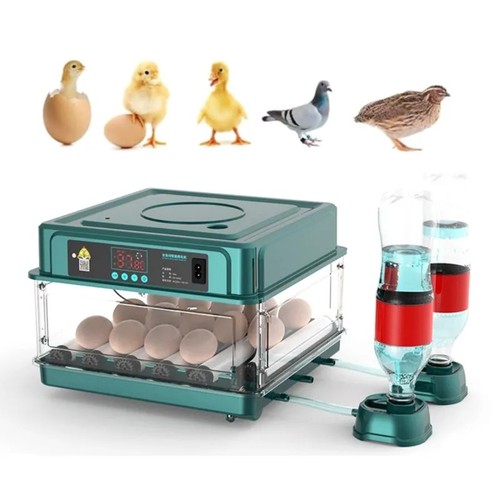 Eggs double electric - eggs,