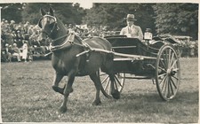 PC63659 Old Postcard. A Man