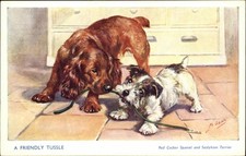 MABEL GEAR Cockerspaniel and Sealyham Terrier Puppy Dogs No. 5077 Postcard