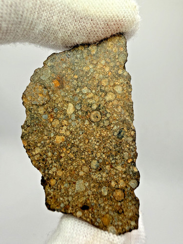 Nwa 17756 ll3 meteorite - nwa, 14.5