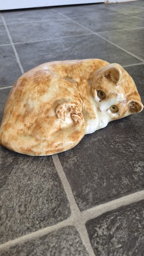 Winstanley cat ginger size - winstanley,