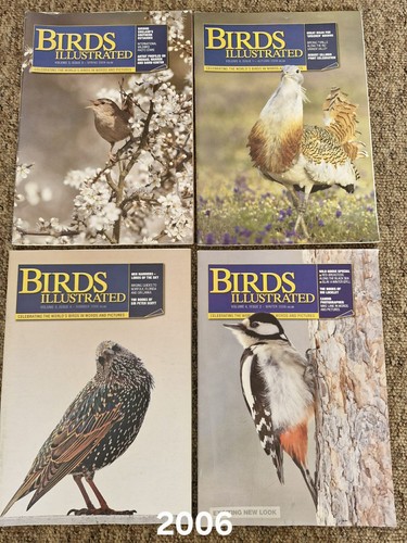 Birds illustrated - birds,