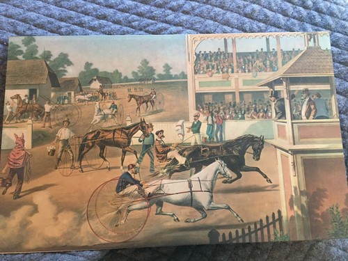 Harness racing horse color - racing,