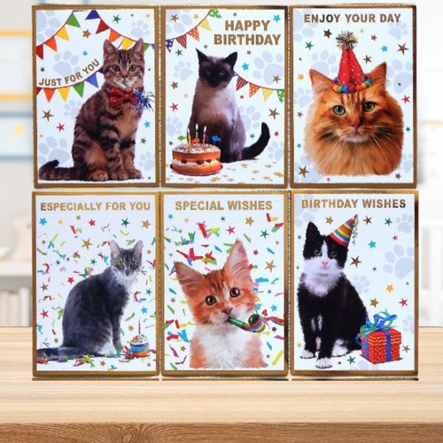 Cute cats kittens birthday - cats,