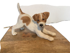 Jack Russell Terrier Puppy