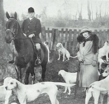 Lady Curre's Itton Fox-Hounds