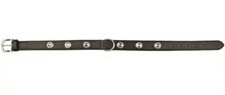 Leather Dog Collar L-XL 55-65cm / 30mm thick black stone stud type rrp £29.00