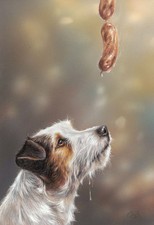 JACK RUSSELL TERRIER fine art ltd edition dog print by Paul Doyle. 
