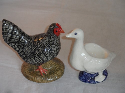 Quail scots grey chicken - chicken, hen