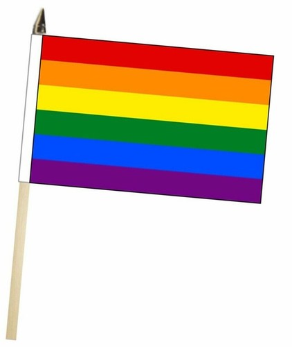 Rainbow gay pride - gay, large