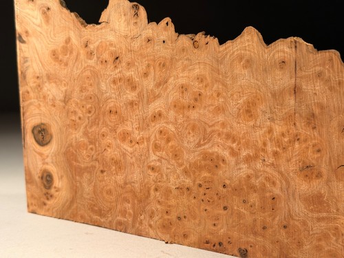 Amazing cap burr elm - live, edge
