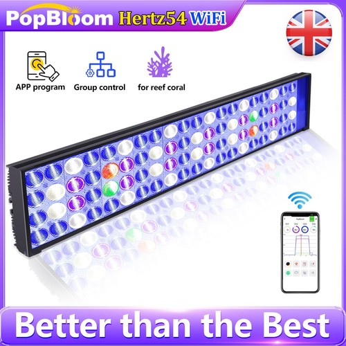 Popbloom h54 marine led - h54,