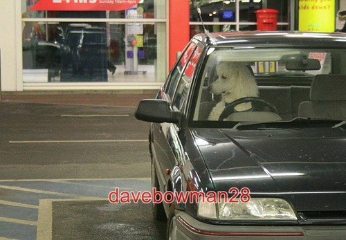 Photo waiting drive home - ,