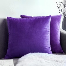 Plush Velvet Cushion Cover