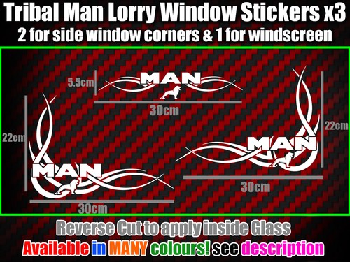 Man lorry window - lorry,