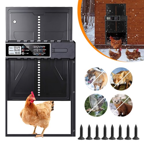Automatic chicken coop - chicken,