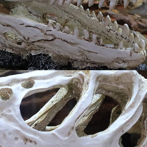 Simulation resin dinosaur - resin,