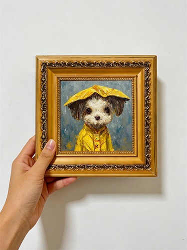 Cute maltese mix puppy - maltese,