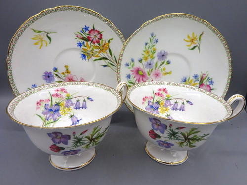 Shelley bone china cup - shelley,