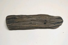 Driftwood Piece, For Display and Sculpture/home Decor, vivarium, craft, art
