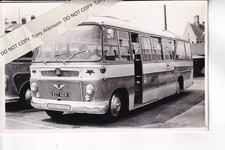 SHAMROCK & RAMBLER - BEDFORD /