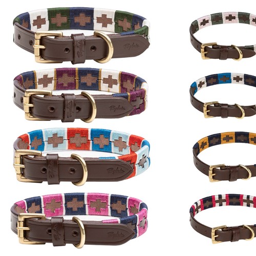 Rydale polo dog collar - rydale,