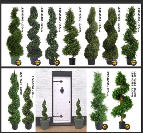 Large boxwood topiary - large,