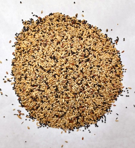 Mixed canary seed - mixed,