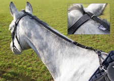 Shires Daisy Rein |  Black