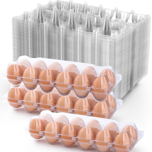 Pack egg cartons cheap bulk - cartons,