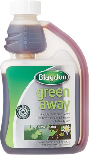 Blagdon green away pond - away,