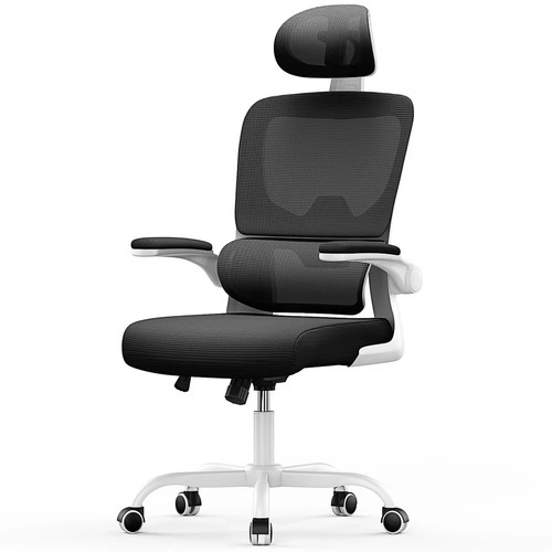 Ergonomic desk chair - ergonomic,