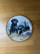 Black Labrador Puppies Collector Plate Beginners' Luck Franklin Mint Limited Edn