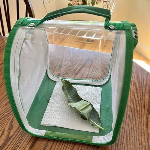 Butterflies mesh cage raising - butterflies,