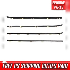 Door Belt Line Weatherstrip