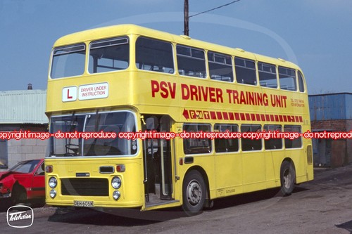 Bus photo pmt oeh605m - bus,