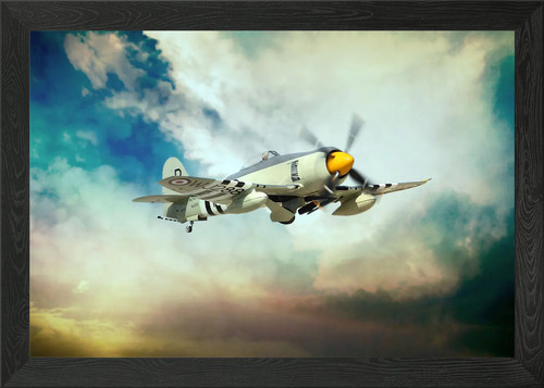 The famous hawker sea fury - the,