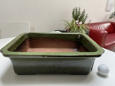 New Large Green Glazed Bonsai