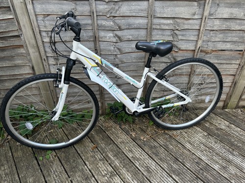 Apollo transition adult - transition,