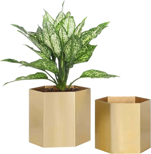 Shiny brass metal indoor - shiny,