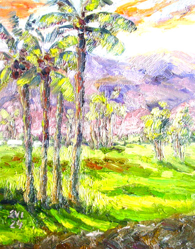 Palm trees original - trees,
