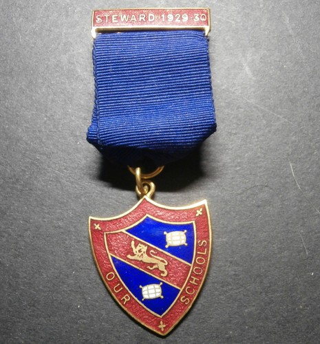 School badge steward - school,