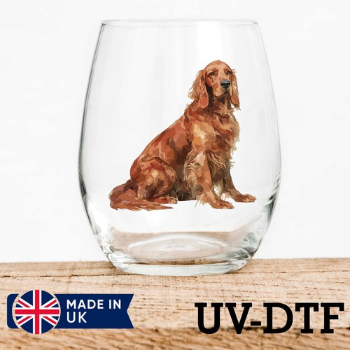 Irish setter dog 8pcs dtf - irish,
