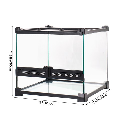 Glass reptile terrarium lizard - terrarium,