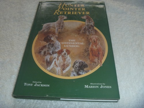 Hunter pointer retriever - hunter,,