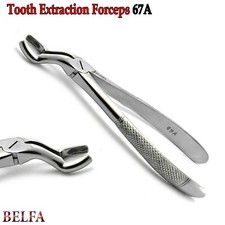Dental Tooth Extraction Upper